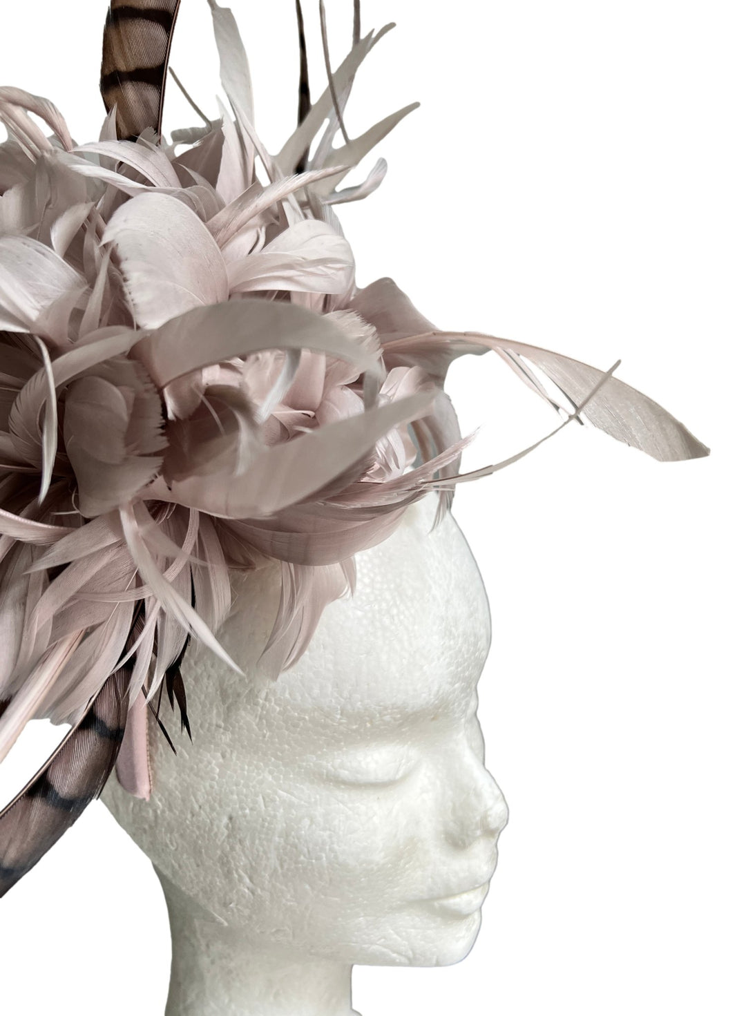 Emma B Fascinator Federn - Emma B - hutwelt